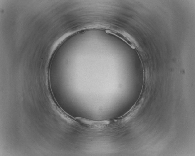 X0000076250854200610191647