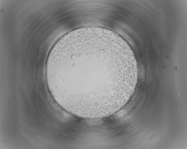 X0000076250856200610191647