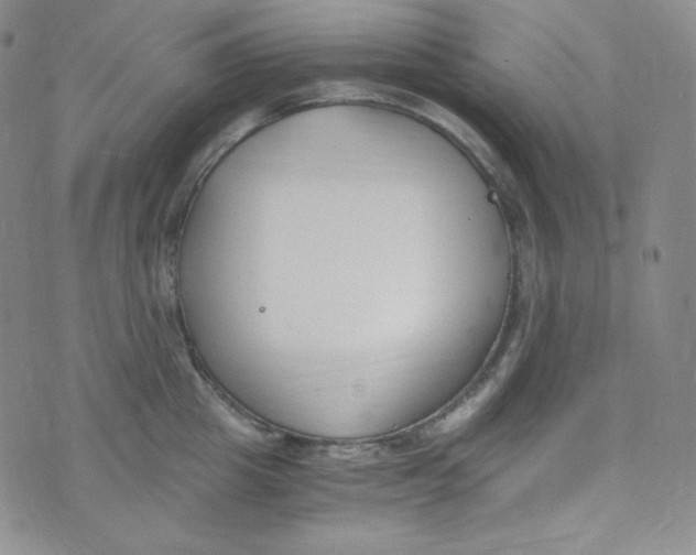 X0000076250857200610191647