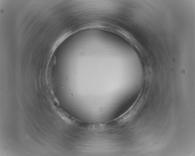 X0000076250858200610191647