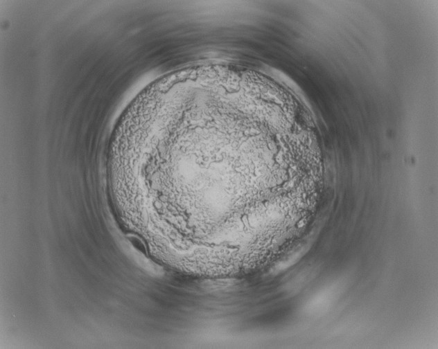 X0000076250859200610191647