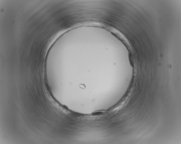 X0000076250860200610191647