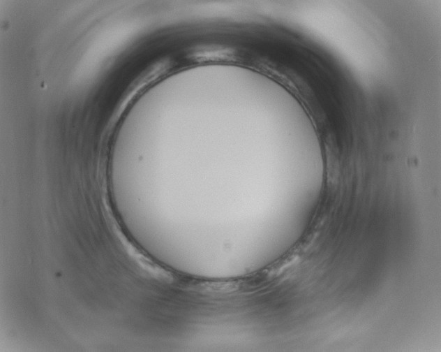 X0000076250861200610191647