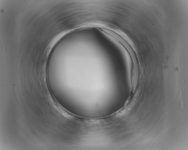 X0000076250862200610191647