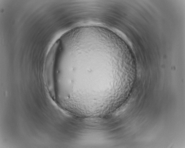 X0000076250863200610191647