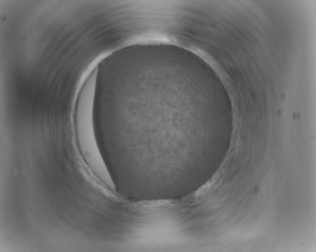 X0000076250864200610191647