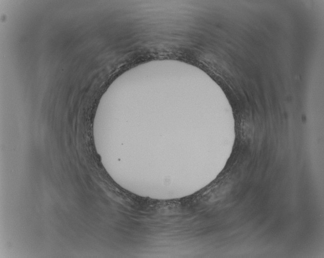 X0000076250865200610191646