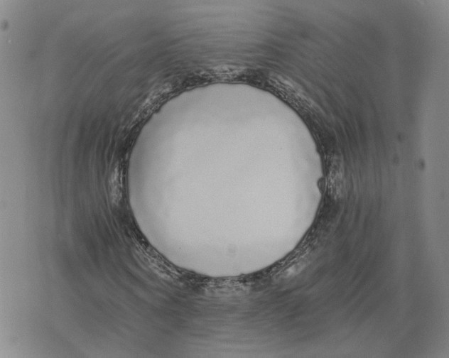 X0000076250866200610191646