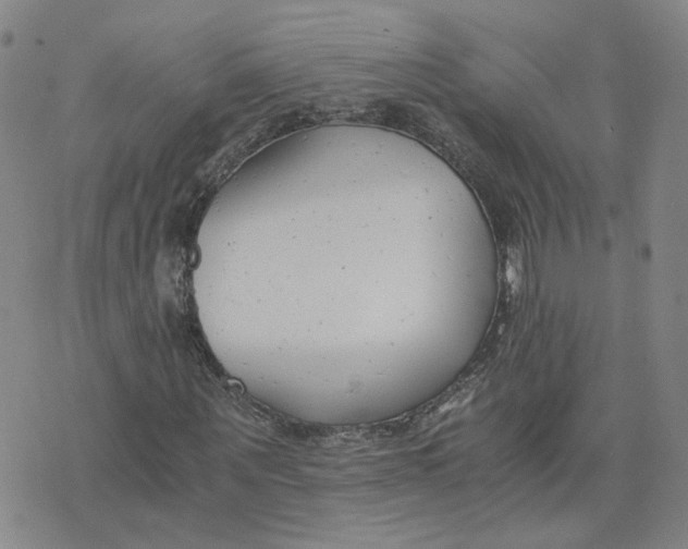 X0000076250867200610191646