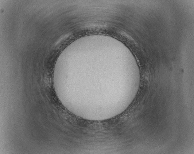 X0000076250869200610191646