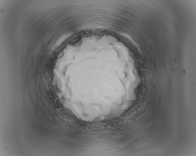 X0000076250871200610191646