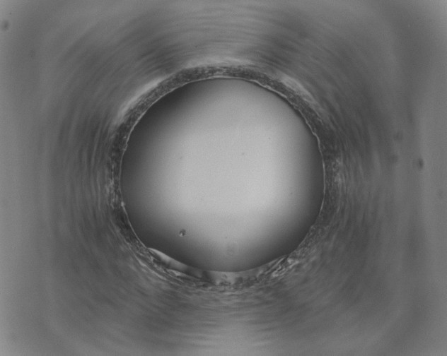 X0000076250872200610191646