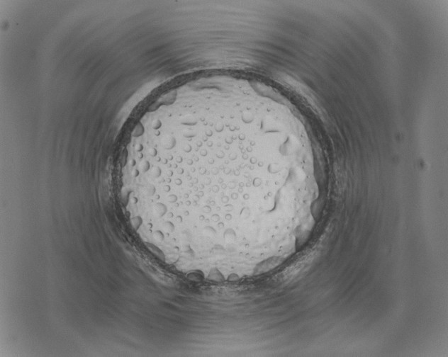 X0000076250875200610191646