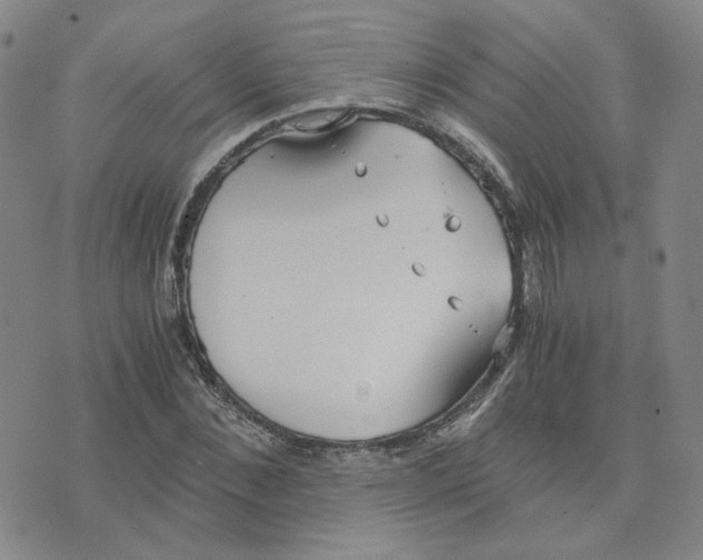 X0000076250876200610191646