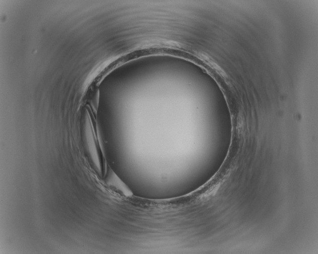 X0000076250877200610191646