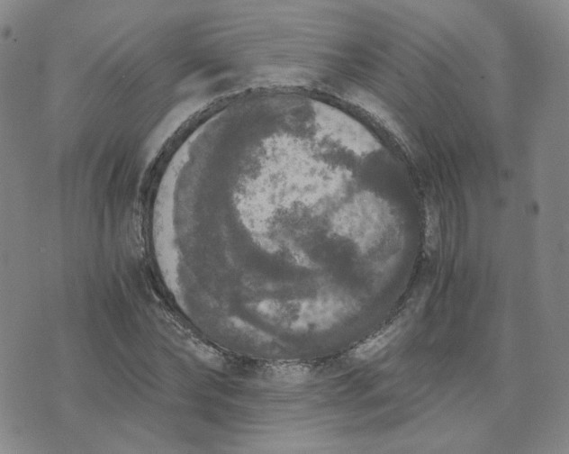 X0000076250878200610191646