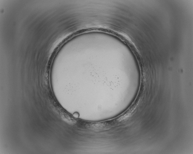 X0000076250879200610191646