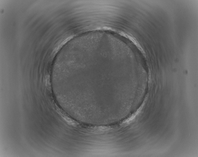 X0000076250881200610191646