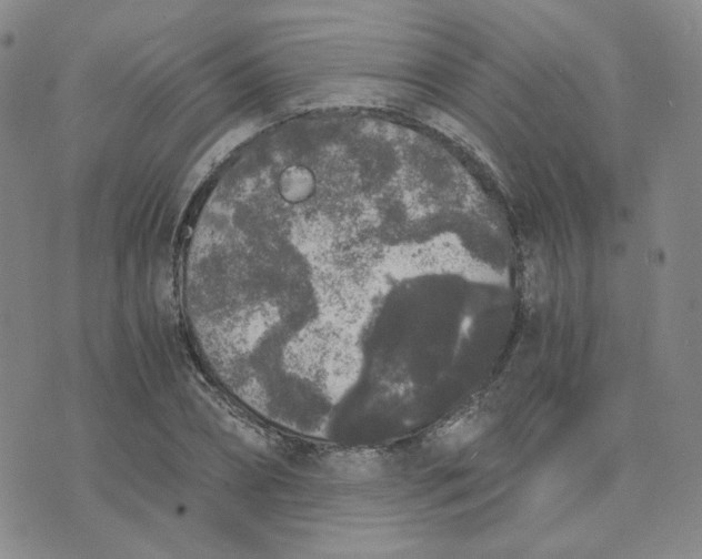 X0000076250882200610191646