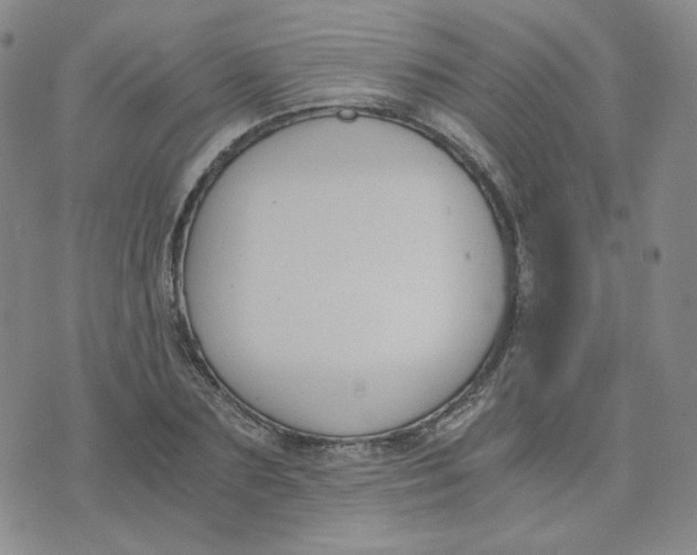 X0000076250883200610191646