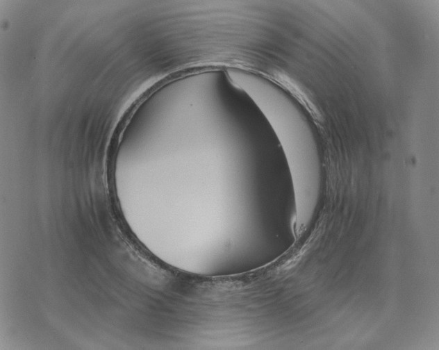 X0000076250884200610191646