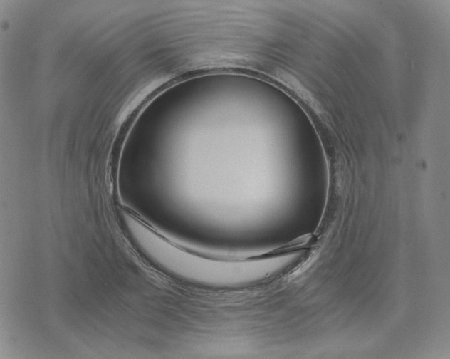 X0000076250885200610191646