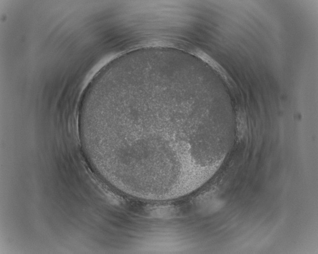 X0000076250886200610191646