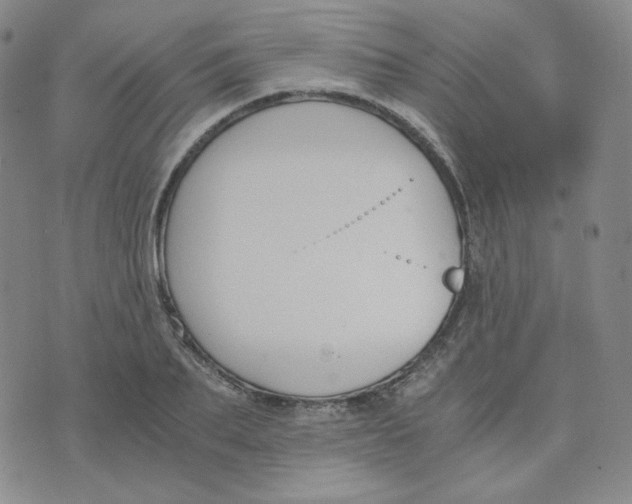 X0000076250887200610191646