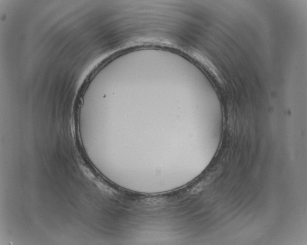 X0000076250888200610191646