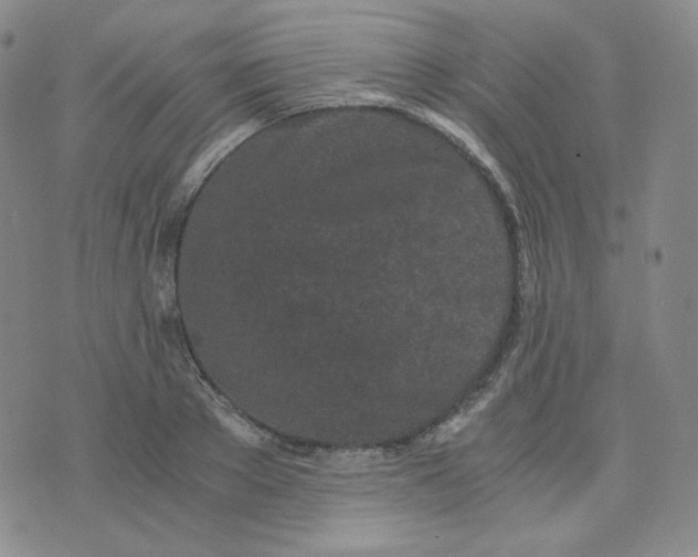 X0000076250889200610191646