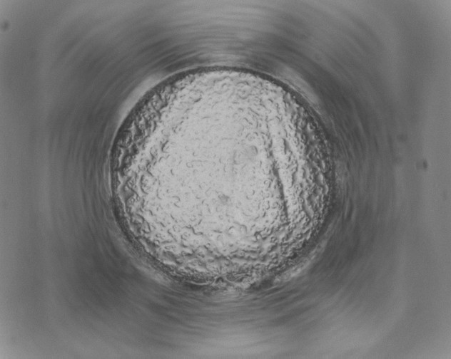 X0000076250891200610191646