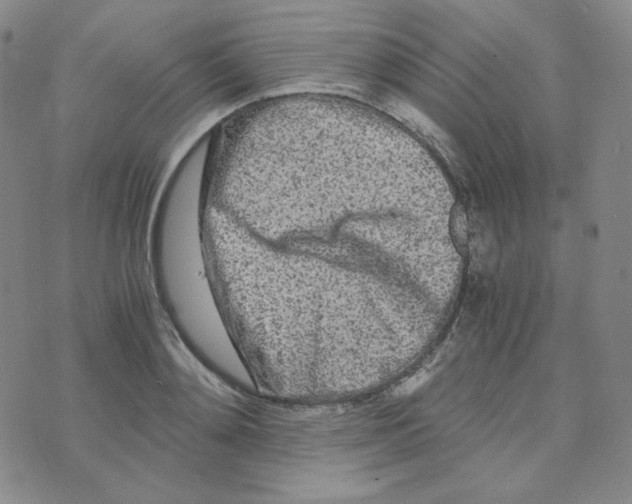 X0000076250892200610191646