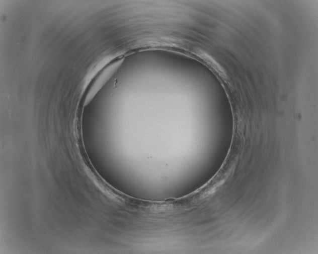 X0000076250893200610191646