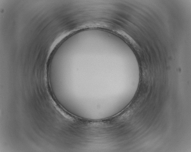 X0000076250894200610191646