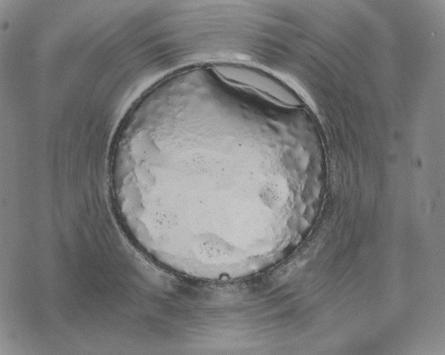 X0000076250895200610191646