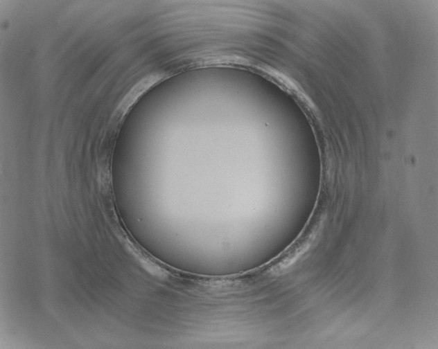 X0000076250897200610191646