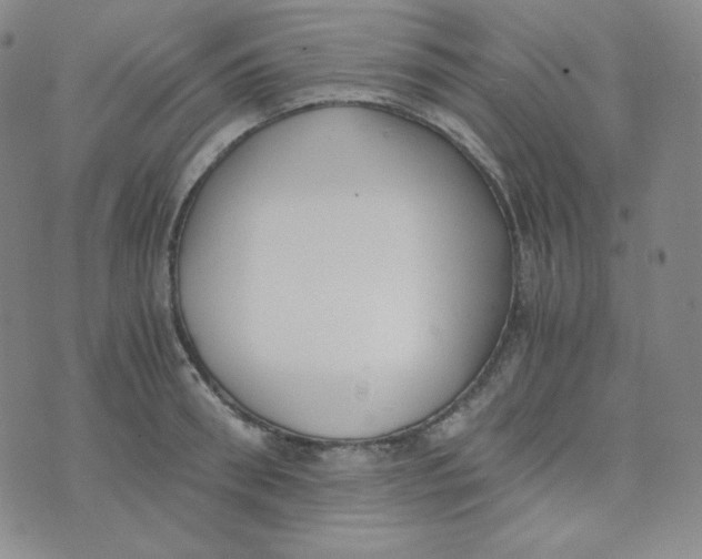 X0000076250898200610191646