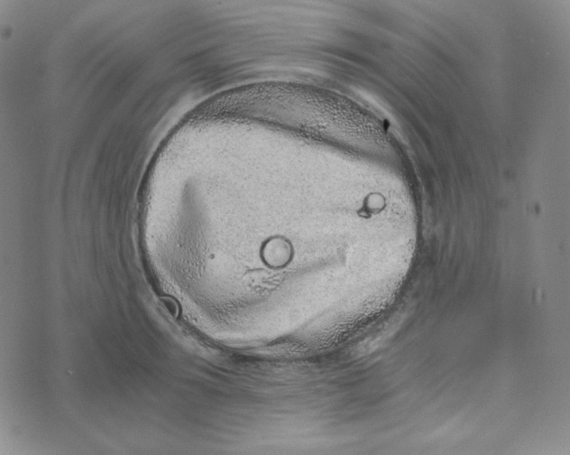 X0000076250899200610191646