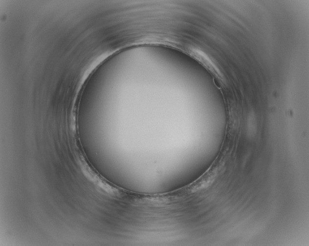 X0000076250900200610191646