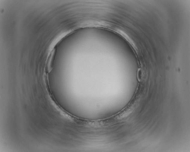 X0000076250901200610191646