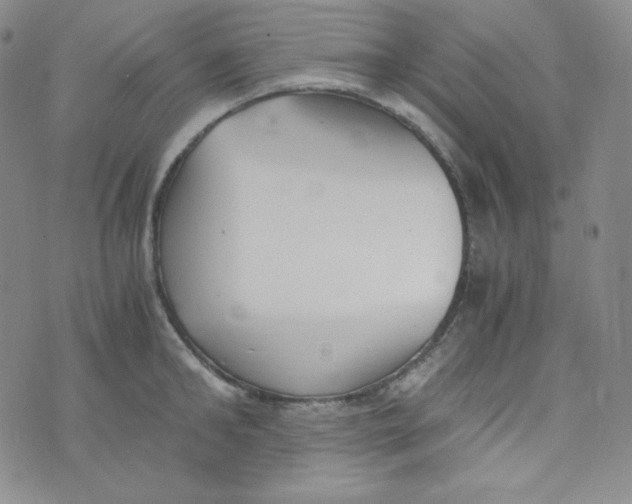 X0000076250902200610191646