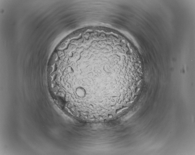 X0000076250903200610191646