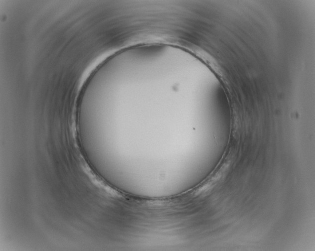 X0000076250904200610191646