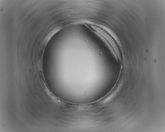 X0000076250905200610191646