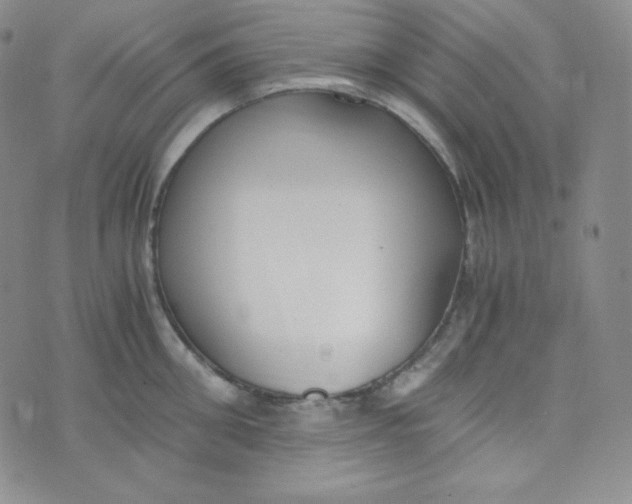 X0000076250906200610191646