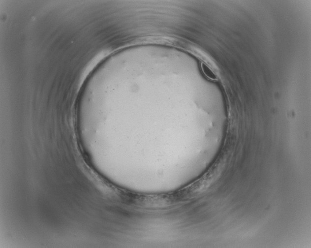 X0000076250907200610191646