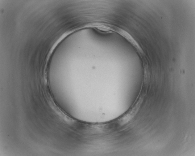 X0000076250908200610191646