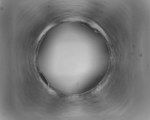 X0000076250909200610191646