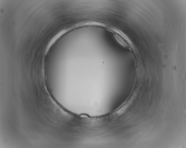 X0000076250910200610191645