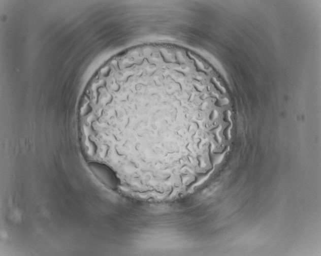 X0000076250911200610191645